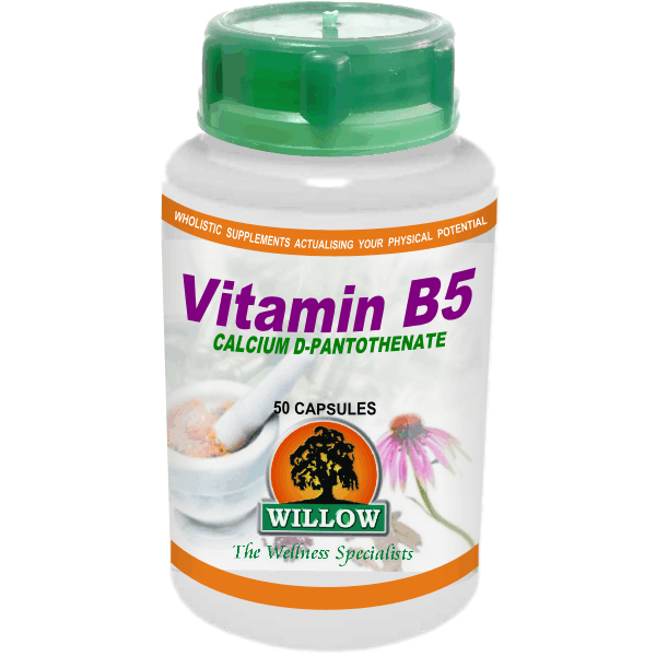 Vitamin B5 -Calcium D-Pantothenate by Willow - Orchards Nutrition
